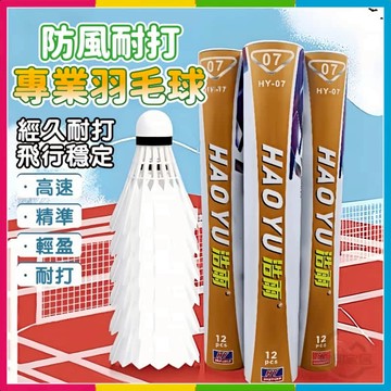 安可🔥台灣出貨🚀防風羽毛球 12顆一筒 羽毛球 羽球 訓練用球 耐打不易爛 飛行穩定 鵝毛球 穩定 耐打 羽毛球