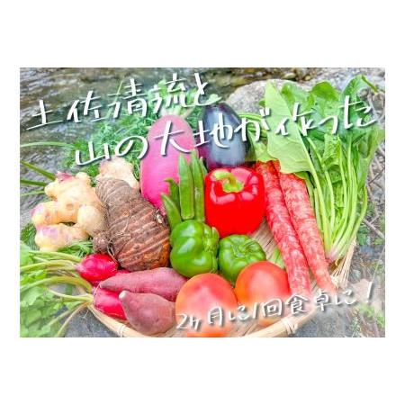 ふるさと納税 新鮮野菜BOX定期便・偶数月にお届け(6カ月便）8〜12種 高知県香美市