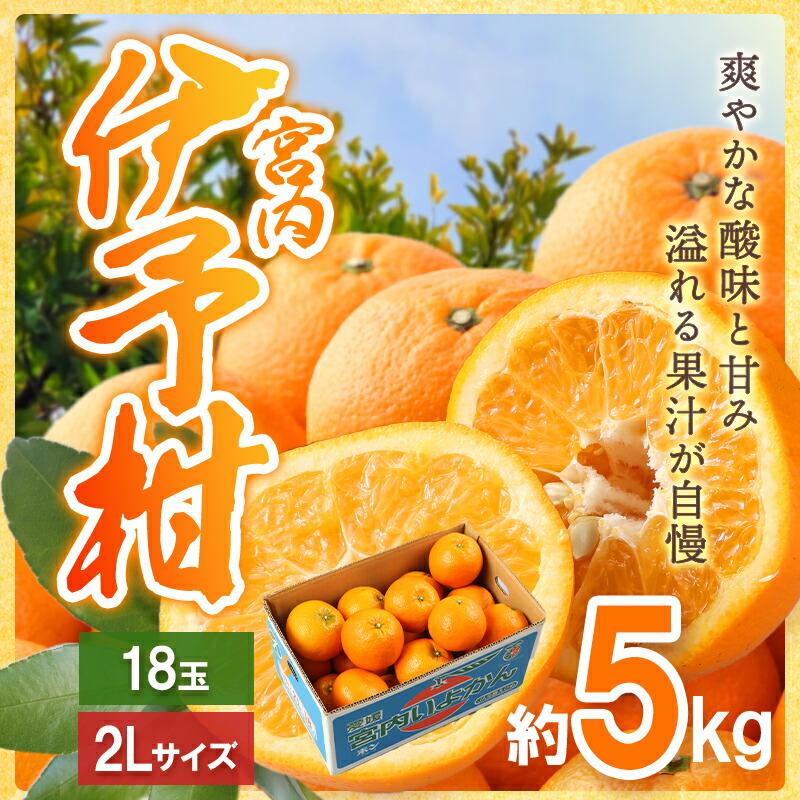  フルーツ 愛媛県産 宮内伊予柑 2Lサイズ 18玉詰 (約 5kg) ＜JAえひめ中央＞ いよかん 青果 果物 内祝い ギフト 送料無料 EH004