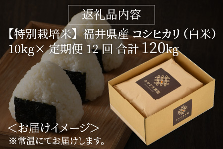 福井県産 コシヒカリ 10kg ～化学肥料にたよらない有機肥料100%～ ネオニコフリー （白米） [O-13401_01]