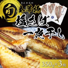 宮城県石巻産350g×3枚セット(CAS冷凍・養殖)