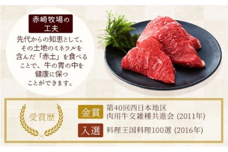 赤崎牛 ミンチ 約1kg 牛100％ 挽き肉