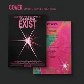 ⭐韓國代購正版⭐EXO正版專輯七輯EXIST裸專 已拆僅無小卡 其餘配置齊全exo