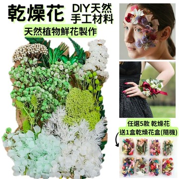 【A-ONE】不凋花藝材料包 蓬萊松 浮游花材料包 永生蓬萊松 壽松 花盅配件 手作花材 花藝設計 C14 秋色怡人_廠商直送