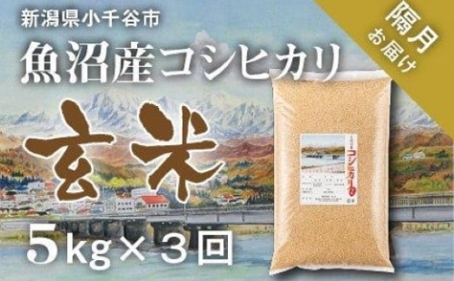 r05-25-3KT 〔定期便 隔月〕〔玄米 選別品〕令和5年産 魚沼産コシヒカリ玄米定期便 5kg×3回（米太）