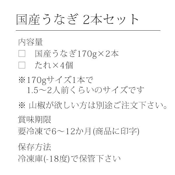 うなぎ 蒲焼き 国産 特大サイズ170g 2尾 ウナギ 鰻 送料無料