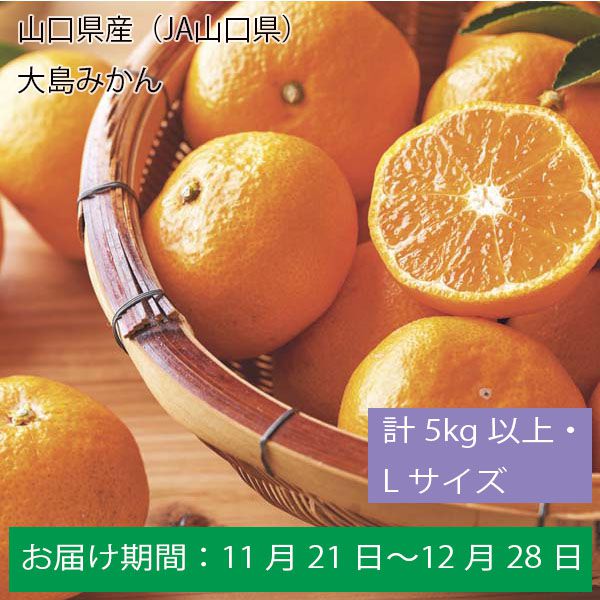 山口県産（JA山口県）大島みかん計５Kg以上・Lサイズ