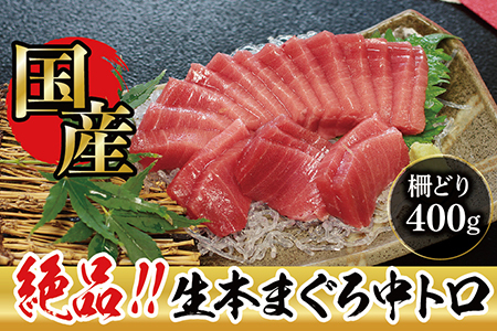 絶品！生本マグロ　中トロ 400g（柵どり）