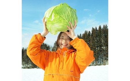 めごい菜農園 雪下キャベツ使用 雪下キャベツ小籠包（スープ付）