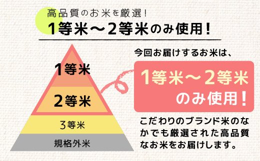 ★11月発送分よりをお届け！★数量限定★熊本を代表するブランド米15ｋｇ×6ヶ月　（森のくまさん5kg×3袋）決済確定月の翌月20日前後から順次発送開始予定