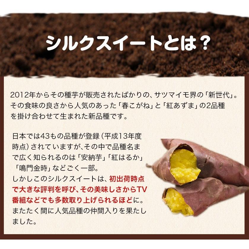 さつまいも シルクスイート 訳あり 熊本県産 送料無料 1kg サイズ不揃い 芋 スイーツ お取り寄せ 3-7営業日以内に出荷予定(土日祝日除く)