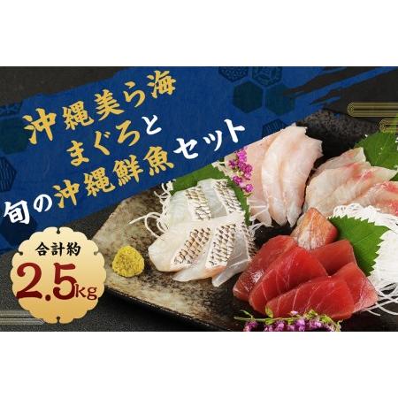 ふるさと納税  沖縄美ら海まぐろと旬の沖縄鮮魚セット 沖縄県那覇市