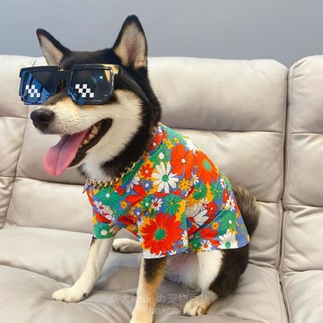 柴犬狗狗衣服小型犬夏季薄款花襯衫泰迪雪納瑞柯基貓咪寵物服裝潮