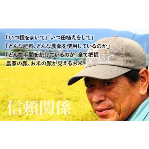 ふるさと納税 福井県 大野市 こしひかり 5kg減農薬・減化学肥料 「特別栽培米」