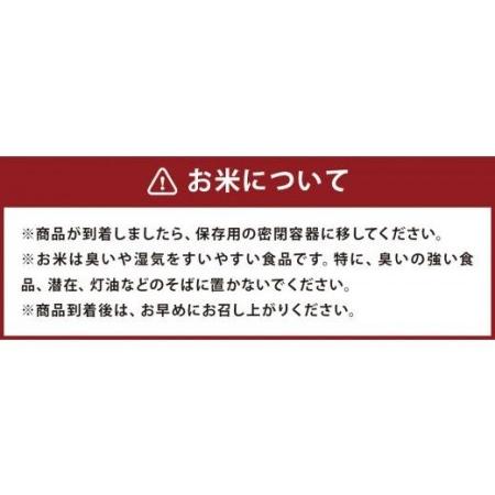 ふるさと納税 熊本県菊池産 ヒノヒカリ 無洗米 計20kg（5kg×4袋） 精米 お米 白米 熊本県菊池市