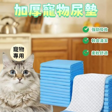 💖【臺灣現貨】寵物尿墊 狗狗尿布 貓咪紙尿墊 泰迪比熊尿墊 狗狗隔尿墊 兔子尿墊 寵物接生護理墊 狗狗訓練尿墊 寵物用品