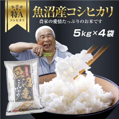 ふるさと納税 新潟県 新潟県 魚沼産 コシヒカリ お米 20kg こしひかり 精米(お米の美味しい炊き方ガイド付き)