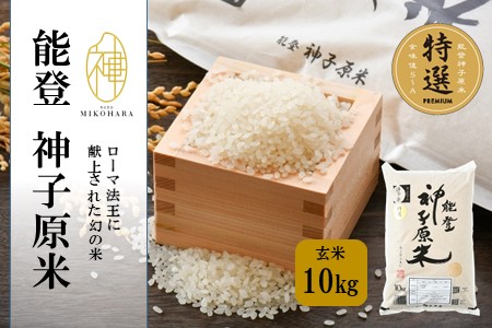 [A096] 能登神子原米 １０kg（玄米）