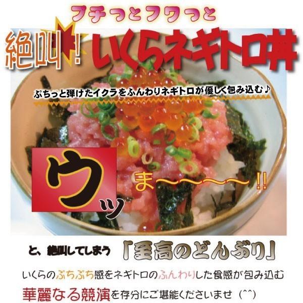 特選！北海道産いくら醤油漬け1kgセット（500g×2）