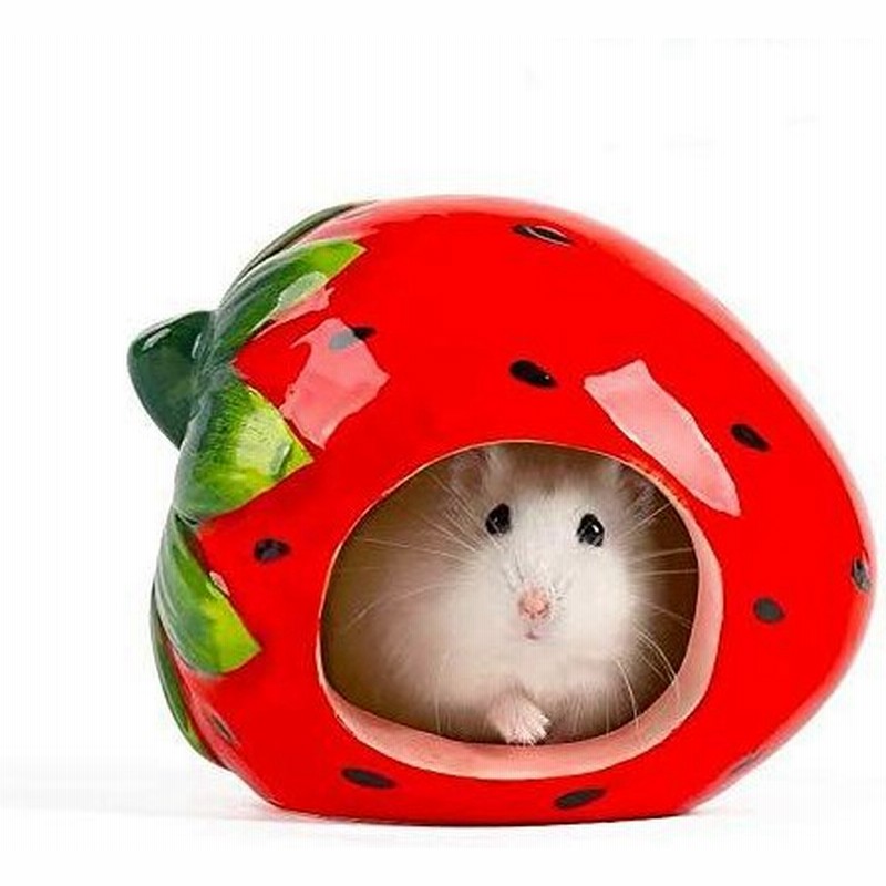 小動物隠れ家セラミックハムスターハウスチンチラミニ小屋洞窟ケージドワーフハムスタースナネズミとハリネズミ イチゴ 通販 Lineポイント最大0 5 Get Lineショッピング