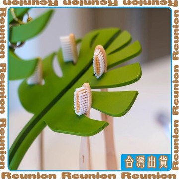 🏠臺灣出貨🏠Reunion✔創意綠植裝飾置物架 應季新款龜背竹浴室 洗手檯鏡前裝飾置物收納