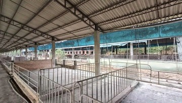 關廟#田寮交流道#都外18分合法豬舍｜台南市關廟區龜洞段