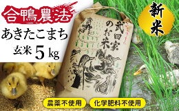 《令和５年度産》武田家のお米 あきたこまち（玄米）５kg＜合鴨農法＞   米 げんまい ５キロ アイガモ