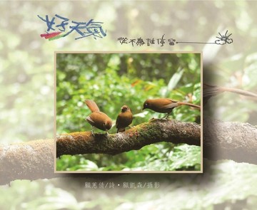 好天氣，從不為誰停留[二手書_良好]