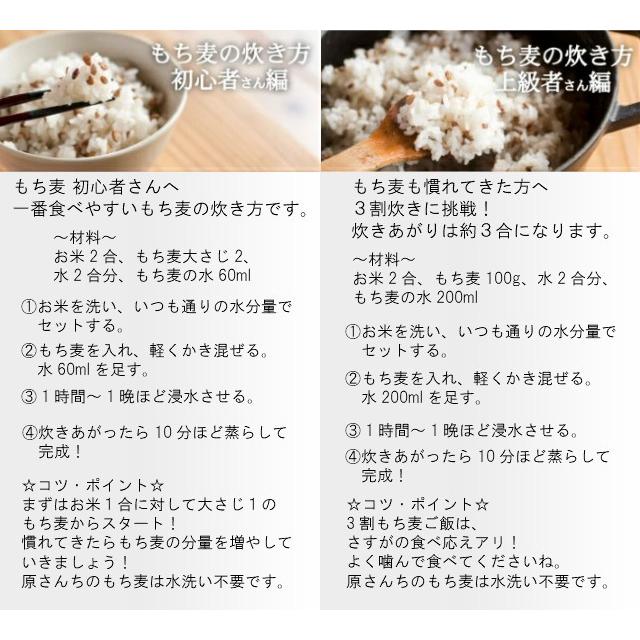 もち麦 有機JAS 国産 無農薬 原さんのもち麦500ｇ 完全無農薬 化学肥料不使用のもち麦 原農場 100％熊本県産 無化学肥料 有機栽培 送料無料 国産 メール便