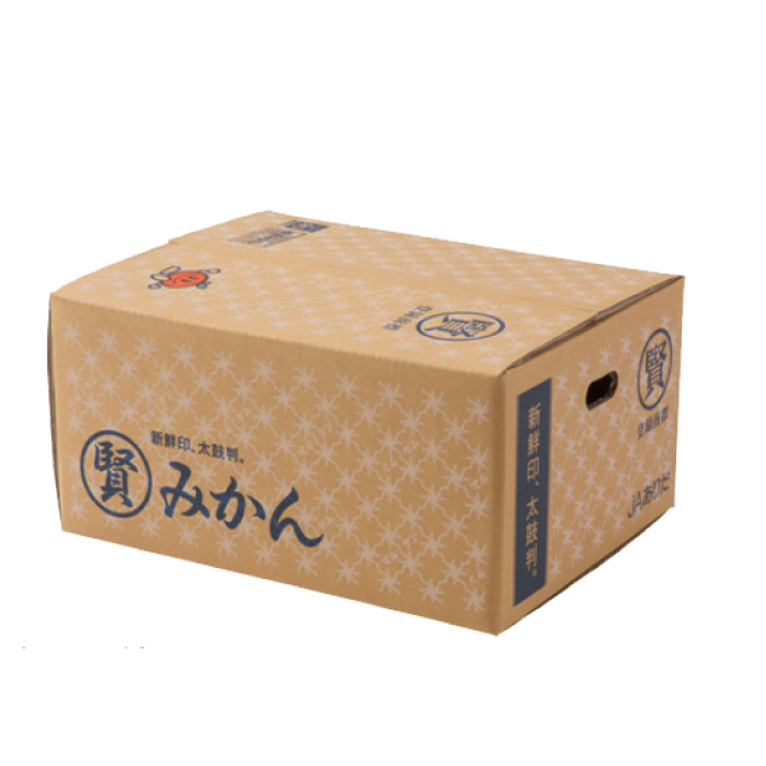 [予約 11月25日-12月31日の納品] マル賢青秀 約 5kg Lサイズ 樹上完熟 マルケン和歌山県産 マルケン まるけん 上級品 みかん 冬ギフト お歳暮 御歳暮