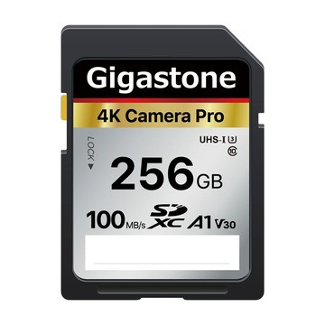 GIGASTONE 立達 SDXC SD UHS-I U3 A1V30 4K 高速記憶卡  256GB  1個