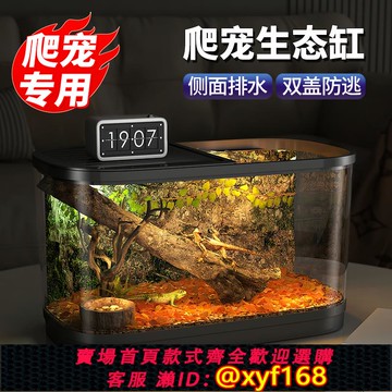 {可打統編 保固一年}爬寵飼養箱陸龜角蛙飼養盒生態造景蝸牛烏龜缸寄居蟹守宮躲避屋