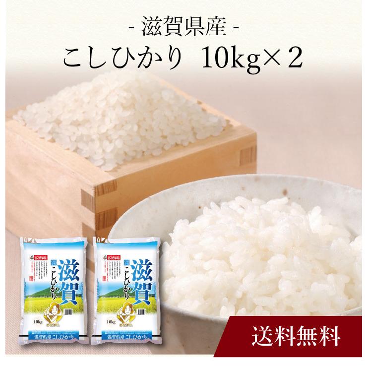 お取り寄せ 送料無料 内祝い 〔 滋賀県産 こしひかり 〕 出産内祝い 新築内祝い 快気祝い 米