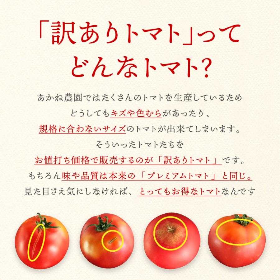 プレミアムトマト（訳ありトマト）2kg 農薬不使用・化学肥料不使用