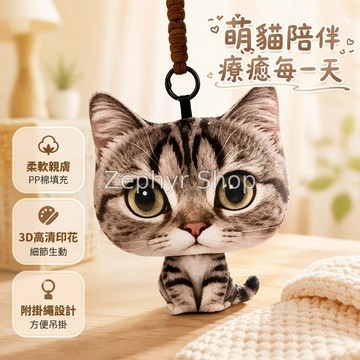 台灣出貨✨ 抽象貓咪掛件 13cm短絨毛公仔 頭部誇張設計 金屬圓環掛繩 30x45cm靠墊 桌面擺飾抱枕 搞怪趣味禮物