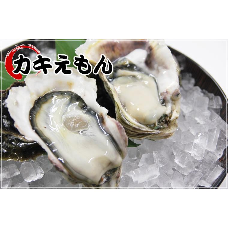 カキえもん(Lサイズ)30個セット 北海道産 牡蠣 カキ 殻付き 生食 お歳暮 ギフト 送料無料