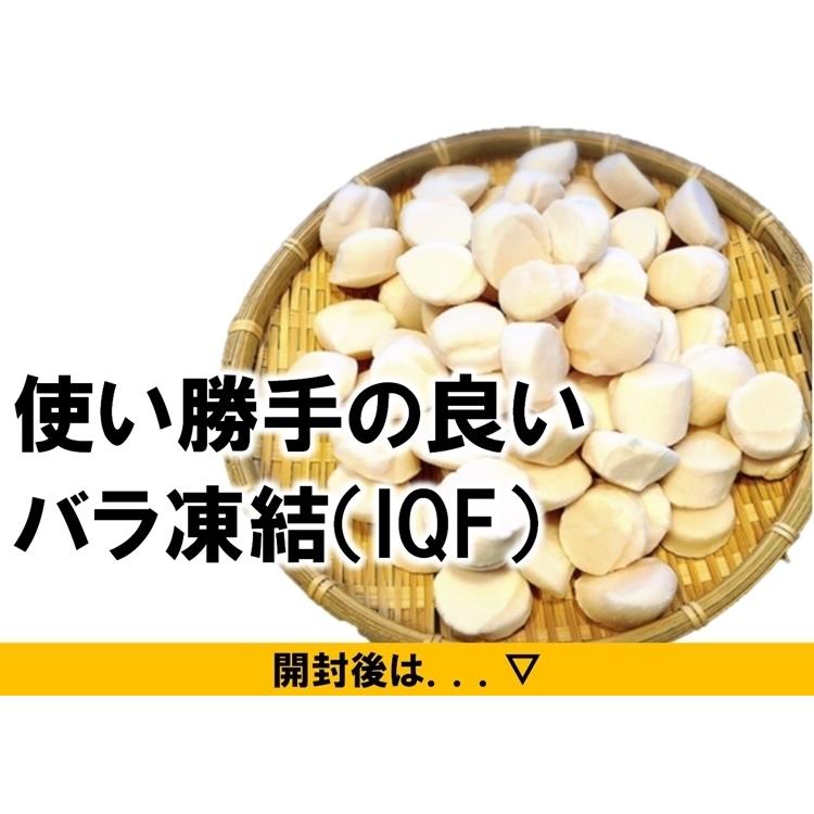 ホタテ 冷凍ホタテ貝柱 北海道産 小サイズ 1kg 61-80粒入 ご自宅用でお試しください 送料無料