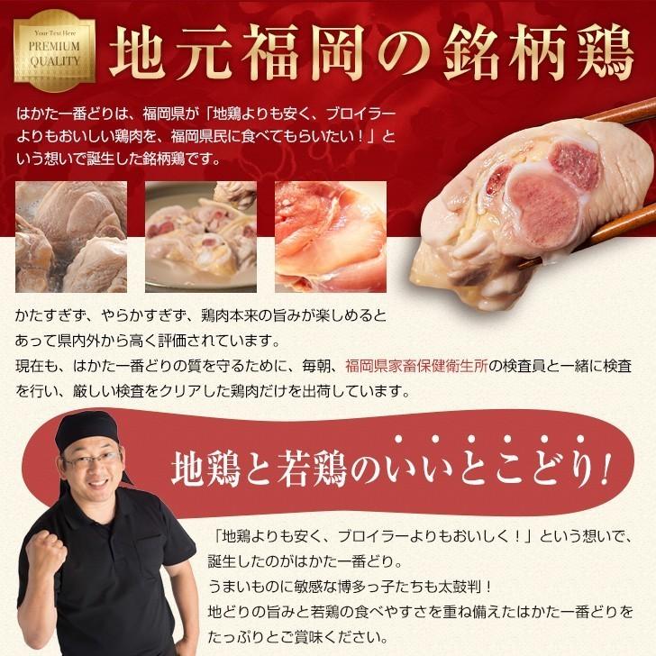 はかた一番どり 水炊き彩(いろどり) (株)あらい 博多 水炊き 鍋 はかた(期日指定できません)