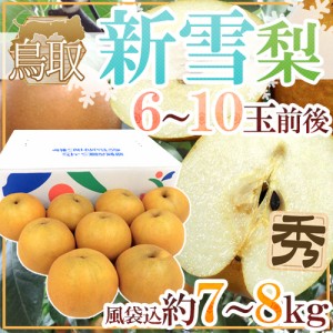 鳥取県 ”新雪梨” 秀品 6～10玉前後 風袋込約7～8kg 送料無料