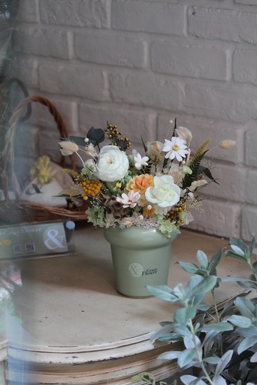 【永生晨光小森林/清新牛油果盆】永生花/居家佈置/節日送禮