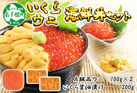 1725. ウニ チリ産 冷凍 100g×2個 いくら 200g 二色丼 うに イクラ 海鮮 期間限定 数量限定 送料無料 北海道 弟子屈町