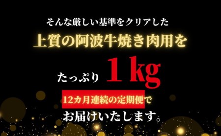 定期便 12回 牛肉 焼き肉用 ロース モモ バラ 1kg × 12ヵ月 国産 黒毛和牛 阿波牛 BBQ バーベキュー 冷凍 ※配送指定不可 大人気焼き肉 人気焼き肉 絶品焼き肉 至高焼き肉 国産焼き肉 徳島県産焼き肉 徳島県焼き肉 定期便焼き肉 ギフト焼き肉 お中元焼き肉 贈答用焼き肉 本格焼き肉 焼き肉