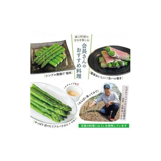 ふるさと納税 山形県 最上町 JA最上町特産グリーンアスパラ2kg