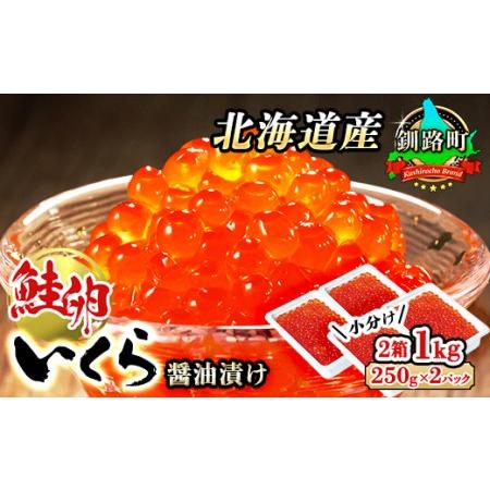 ふるさと納税 いくら醤油漬け 1kg＜250g ×2パック ×2箱＞ 小分け  国産 北海道産 いくら いくら醤油漬 イクラ ikura 天然 鮭 サーモ.. 北海道釧路町