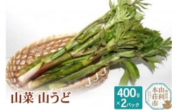 山菜 山うど 400g×2パック（発送は5月頃）