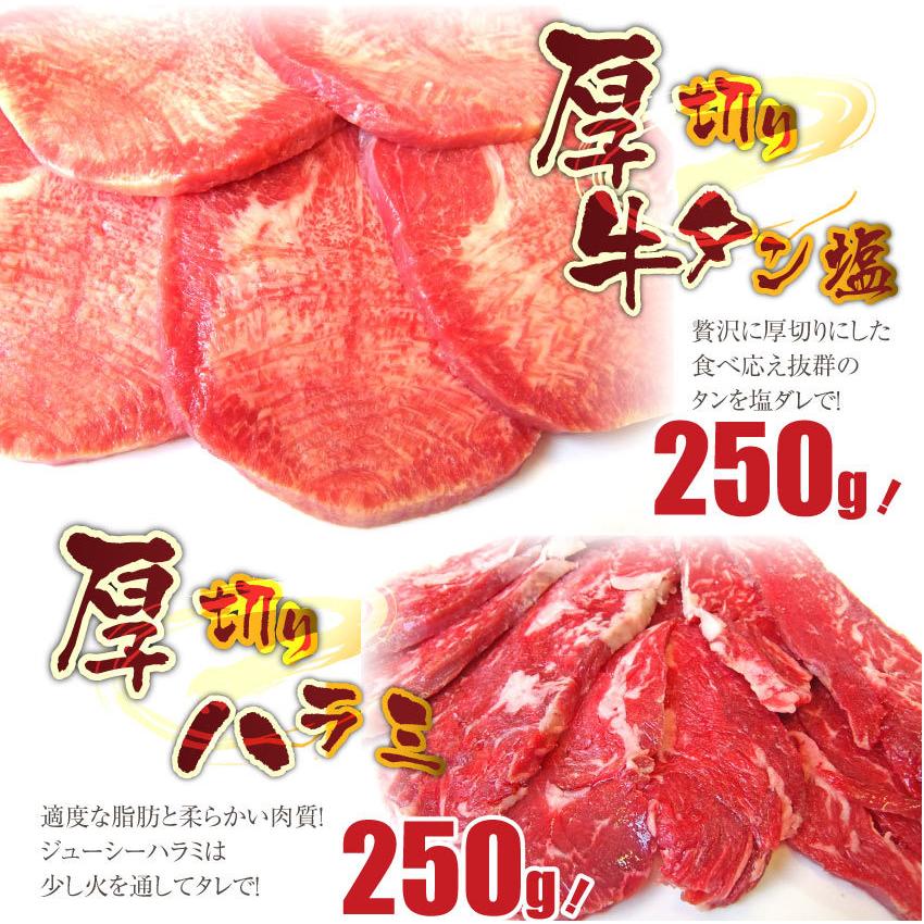 焼肉 セット 牛肉 肉 バーベキュー メガ盛り 野菜付 6〜8人前 BBQ 焼くだけ 福袋 グルメ お歳暮 ギフト 食品 プレゼント キャンプ キャンプ飯