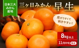 三ヶ日 みかん 早生 8kg以上 