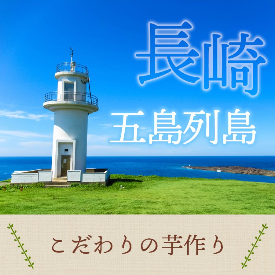 国産 安納芋 冷凍 冷やし 焼き芋 1kg やきいも プレゼント さつまいも 無添加 冷凍焼き芋 冷凍焼きいも 焼きいも スイーツ お菓子 さつまいもスイーツ y-anno