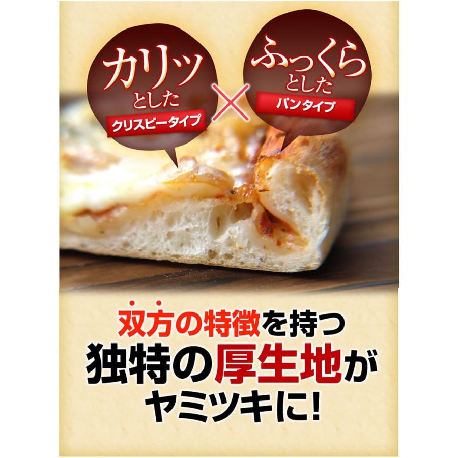 漁火仕立「いかの塩辛」と彩野菜のピリ辛ピッツアオクラ・トマト イカの塩辛 オリジナルブレンドチーズ