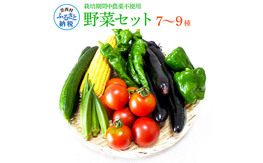 野菜セット（7‐9種類）栽培期間中農薬不使用！ 季節の野菜 旬 無農薬 野菜 やさい 新鮮 自然 健康 セット 詰め合わせ 冷蔵 美味しい おいしい 食べ物 食材 秋 旬の味覚 ご当地 お取り寄せ 芸西村 5000円 故郷納税 ふるさとのうぜい 返礼品 高知県産 高知